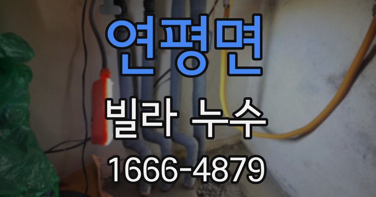 연평면 빌라 누수
