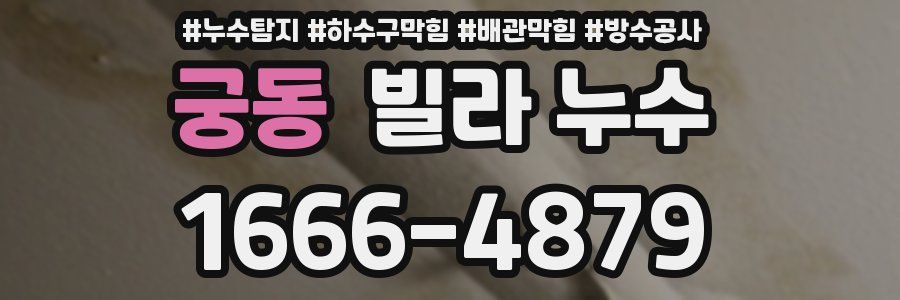 궁동 빌라 누수