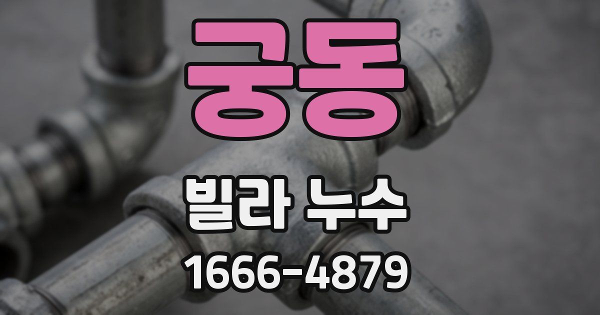 궁동 빌라 누수