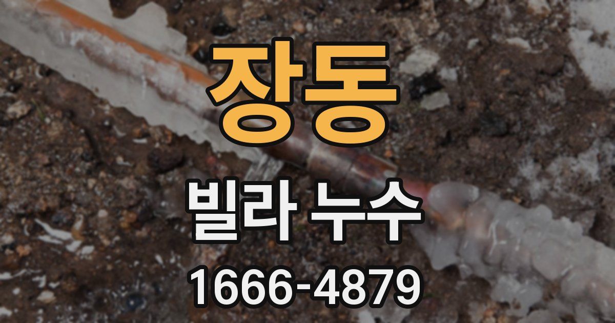 장동 빌라 누수