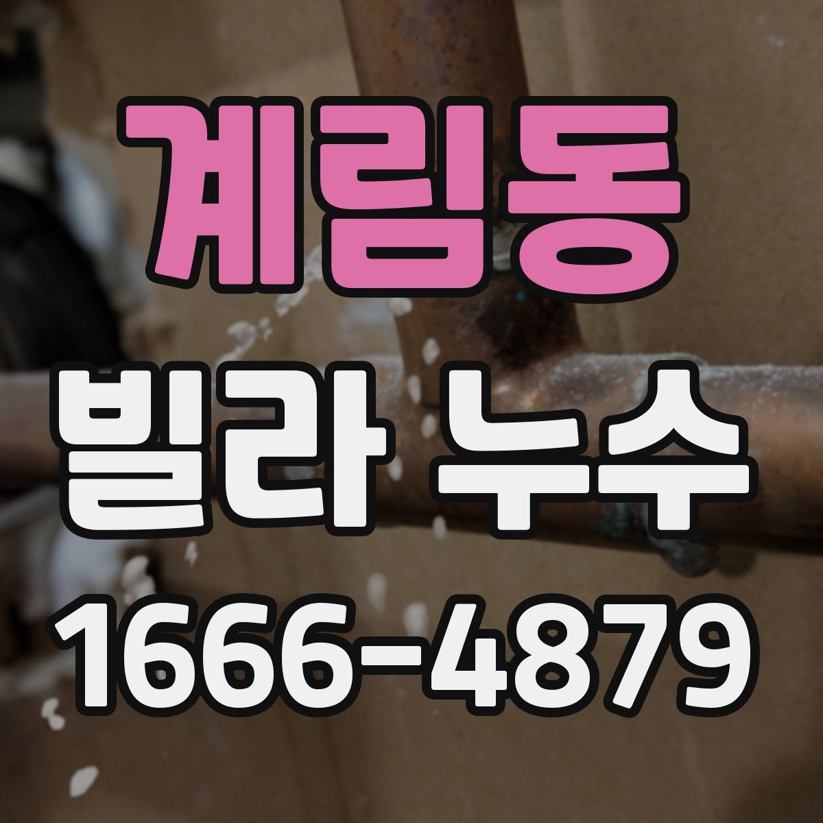 계림동 빌라 누수