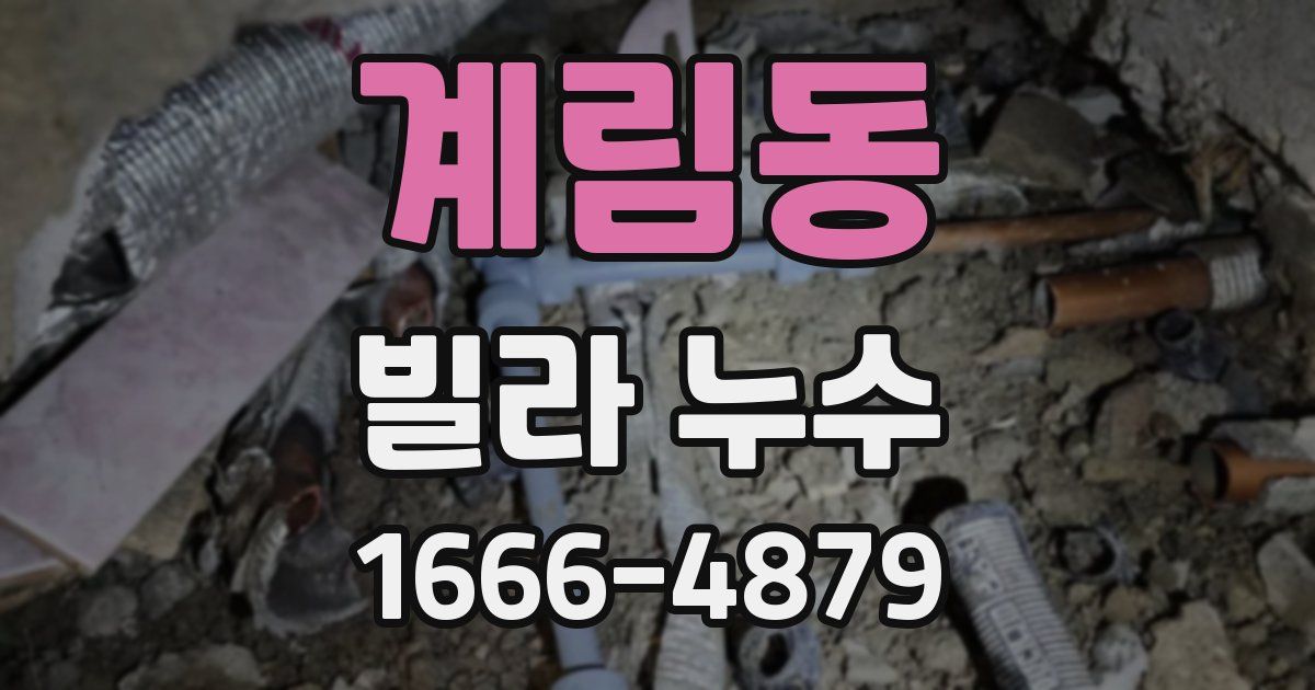 계림동 빌라 누수