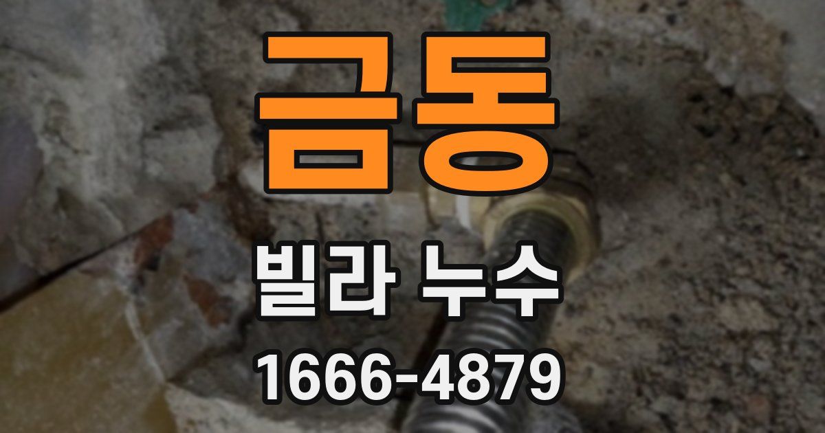 금동 빌라 누수