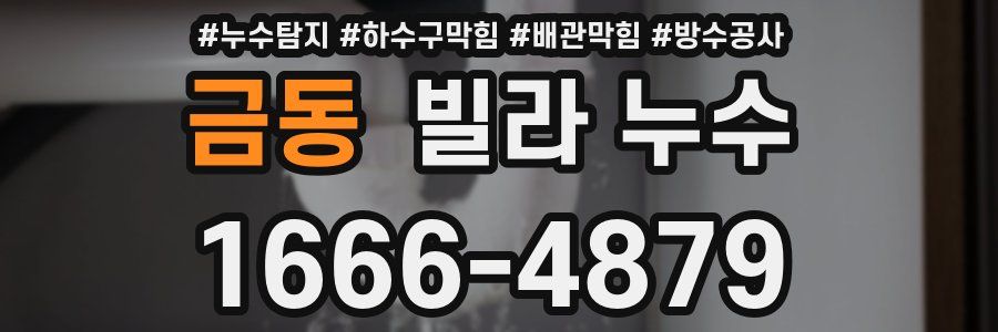 금동 빌라 누수