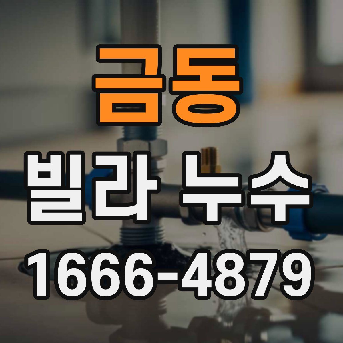 금동 빌라 누수