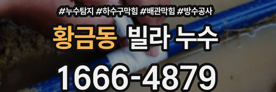 황금동 빌라 누수