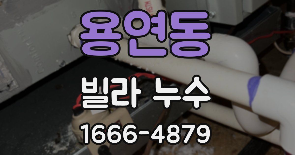 용연동 빌라 누수