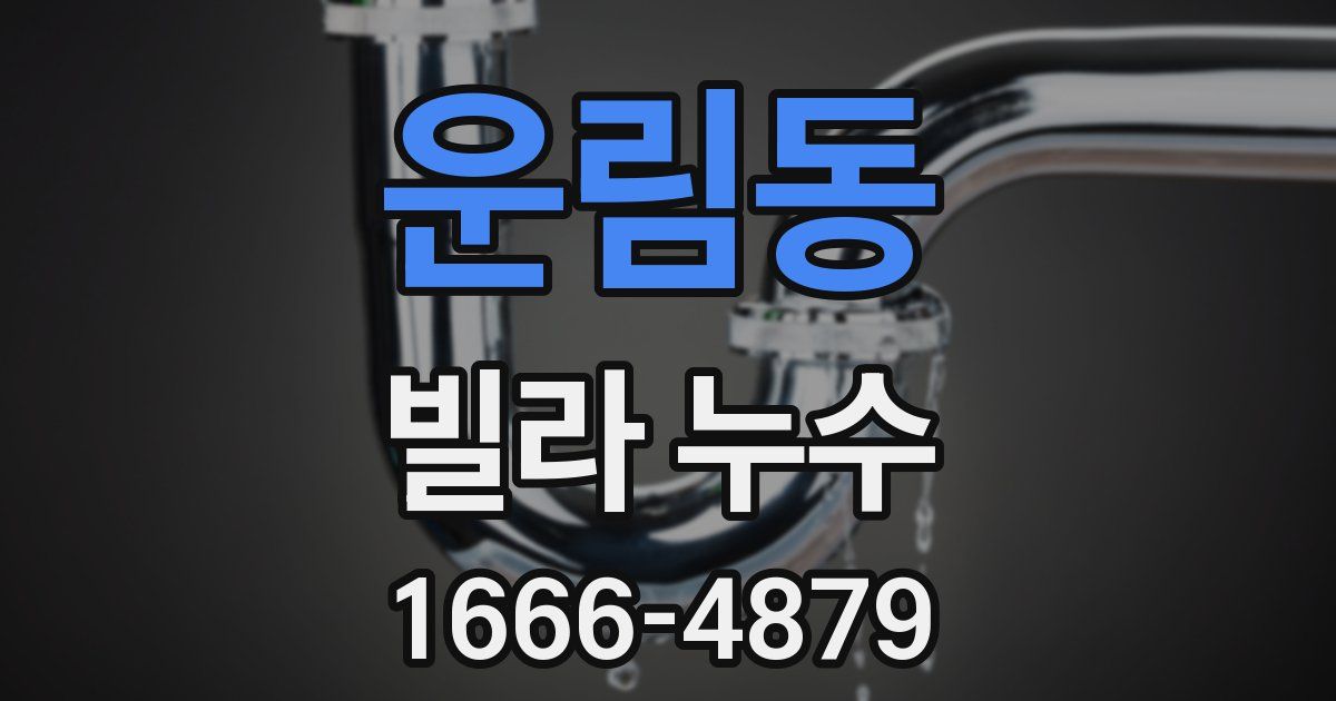 운림동 빌라 누수