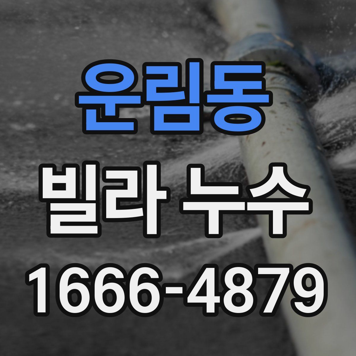 운림동 빌라 누수