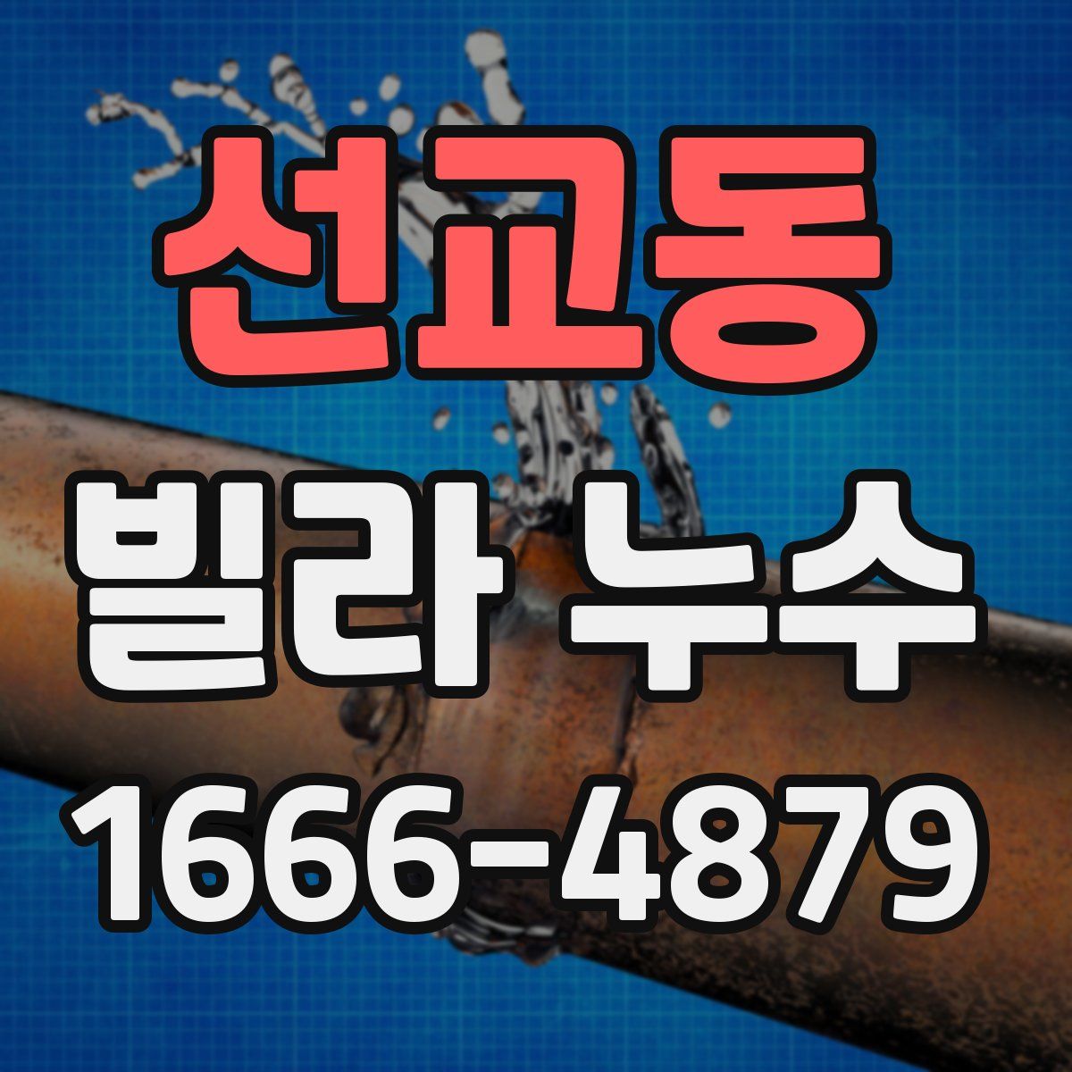 선교동 빌라 누수