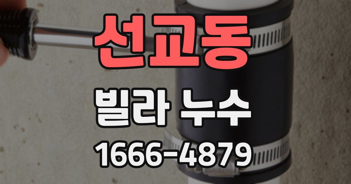 선교동 빌라 누수