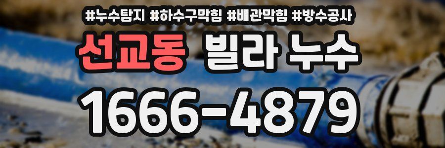 선교동 빌라 누수