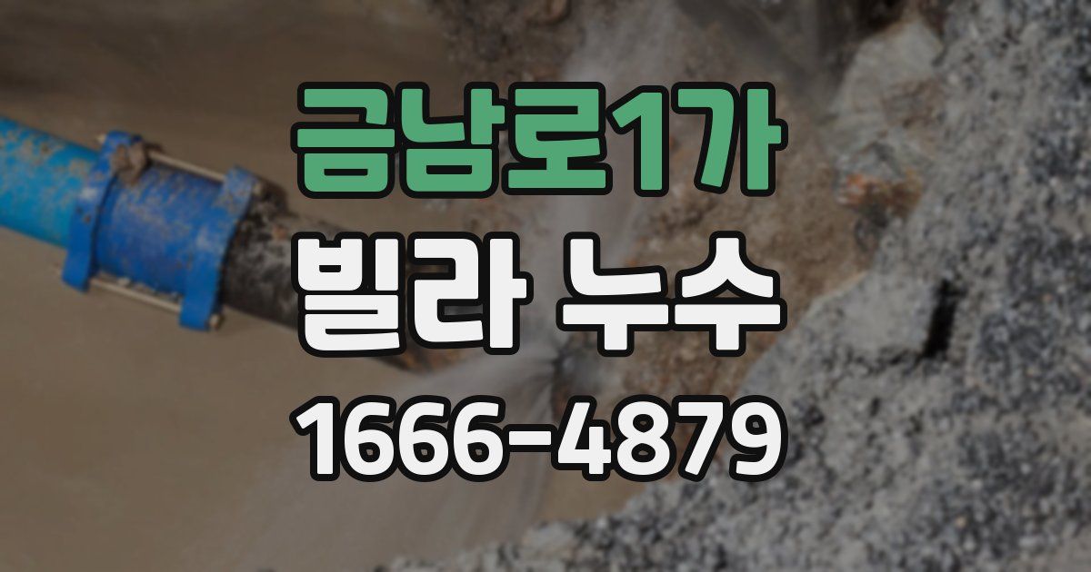 금남로1가 빌라 누수