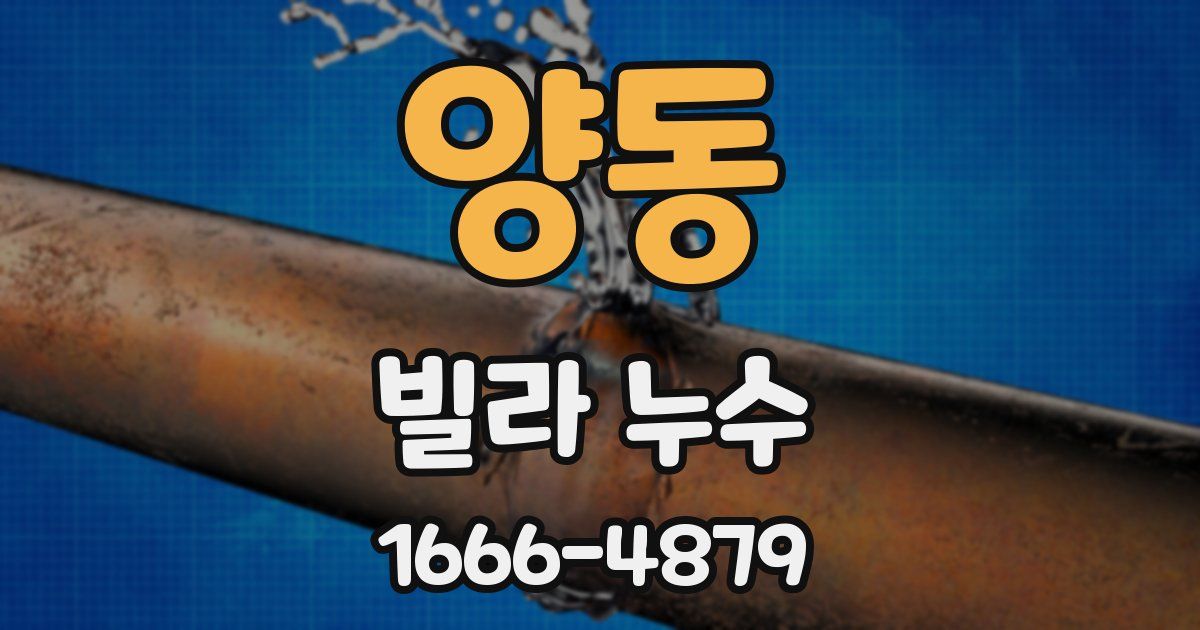 양동 빌라 누수