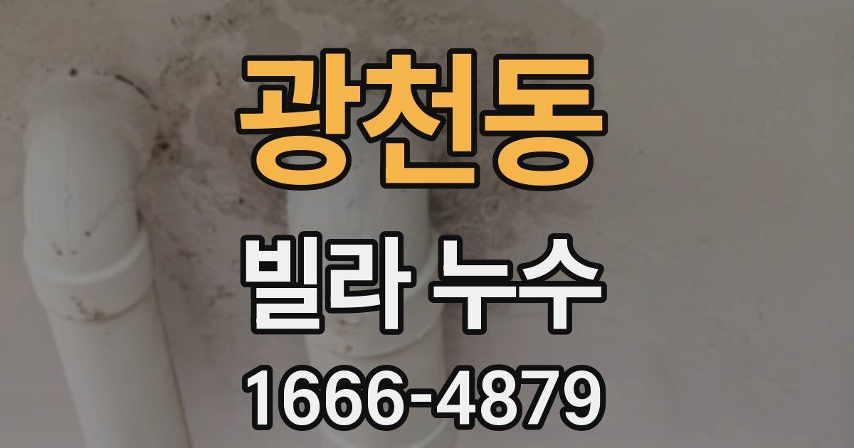 광천동 빌라 누수