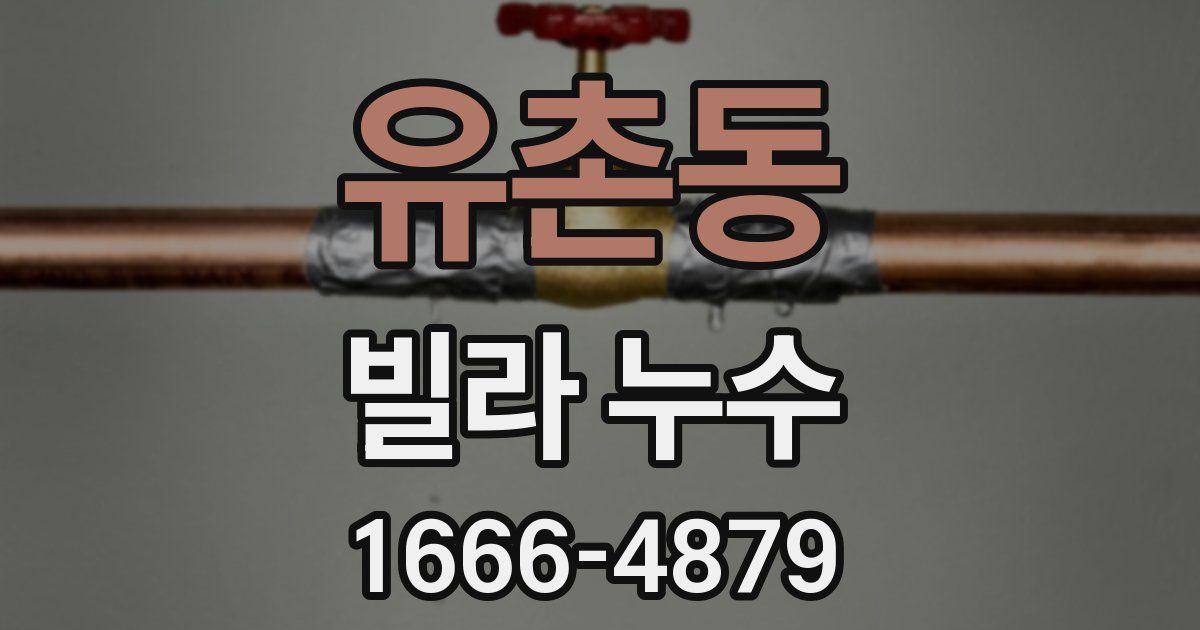 유촌동 빌라 누수