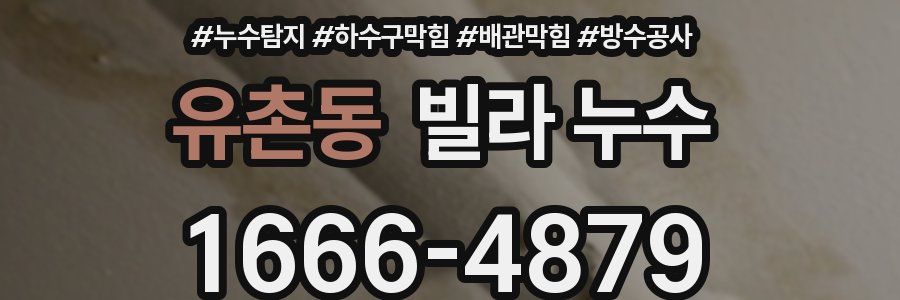 유촌동 빌라 누수