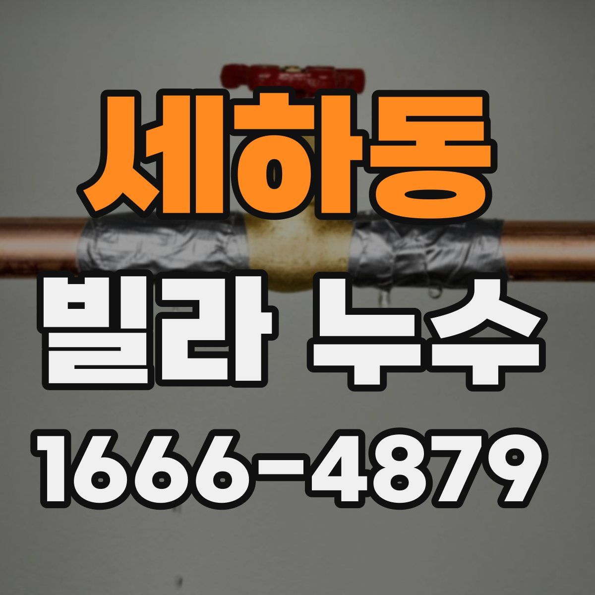 세하동 빌라 누수