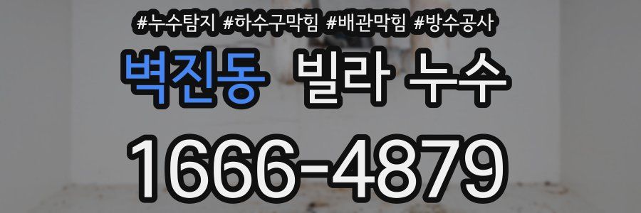 벽진동 빌라 누수