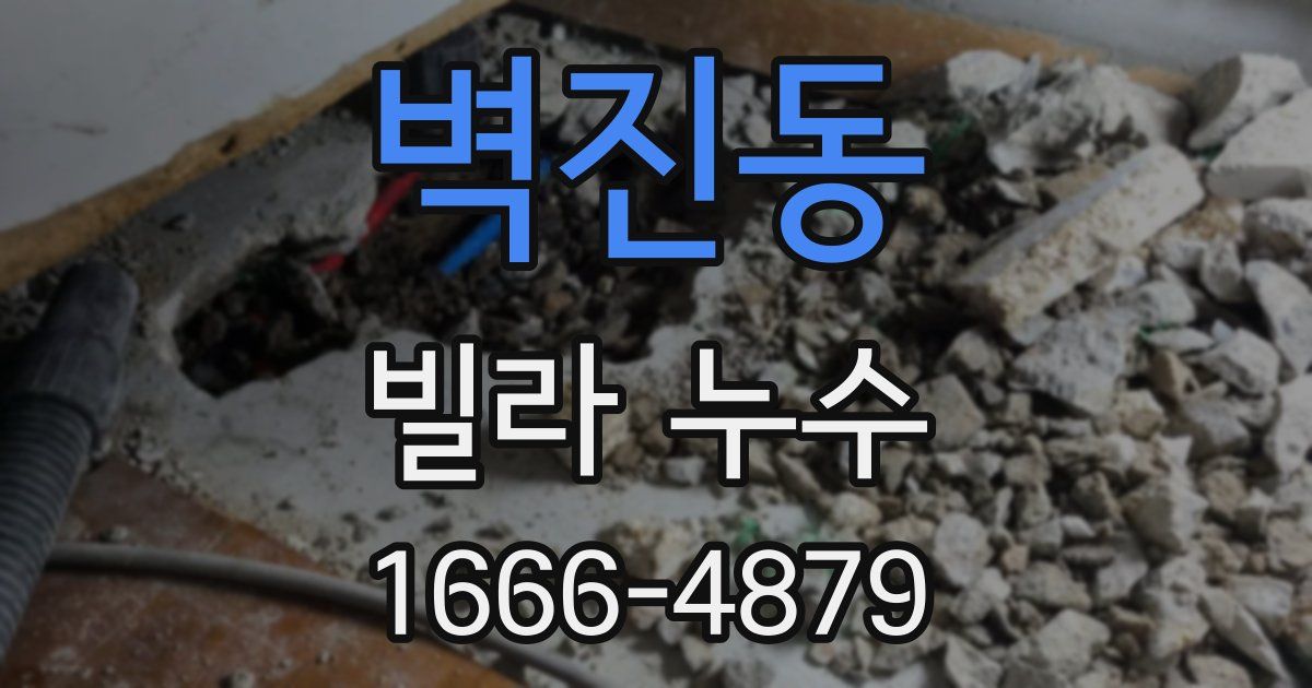 벽진동 빌라 누수