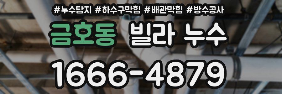 금호동 빌라 누수