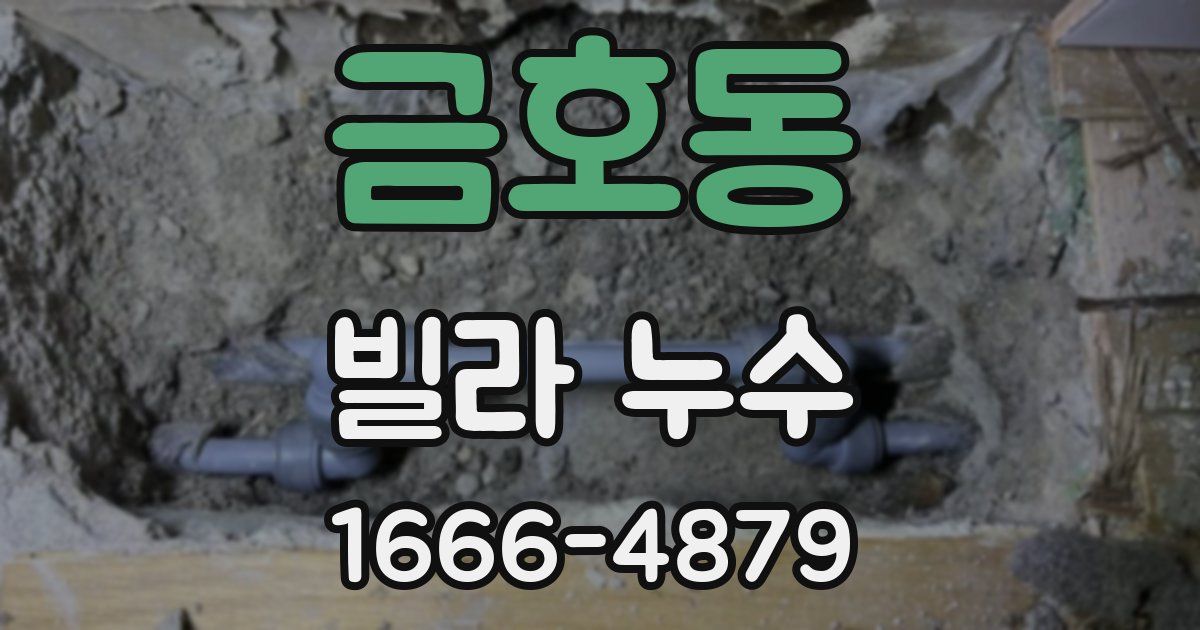 금호동 빌라 누수