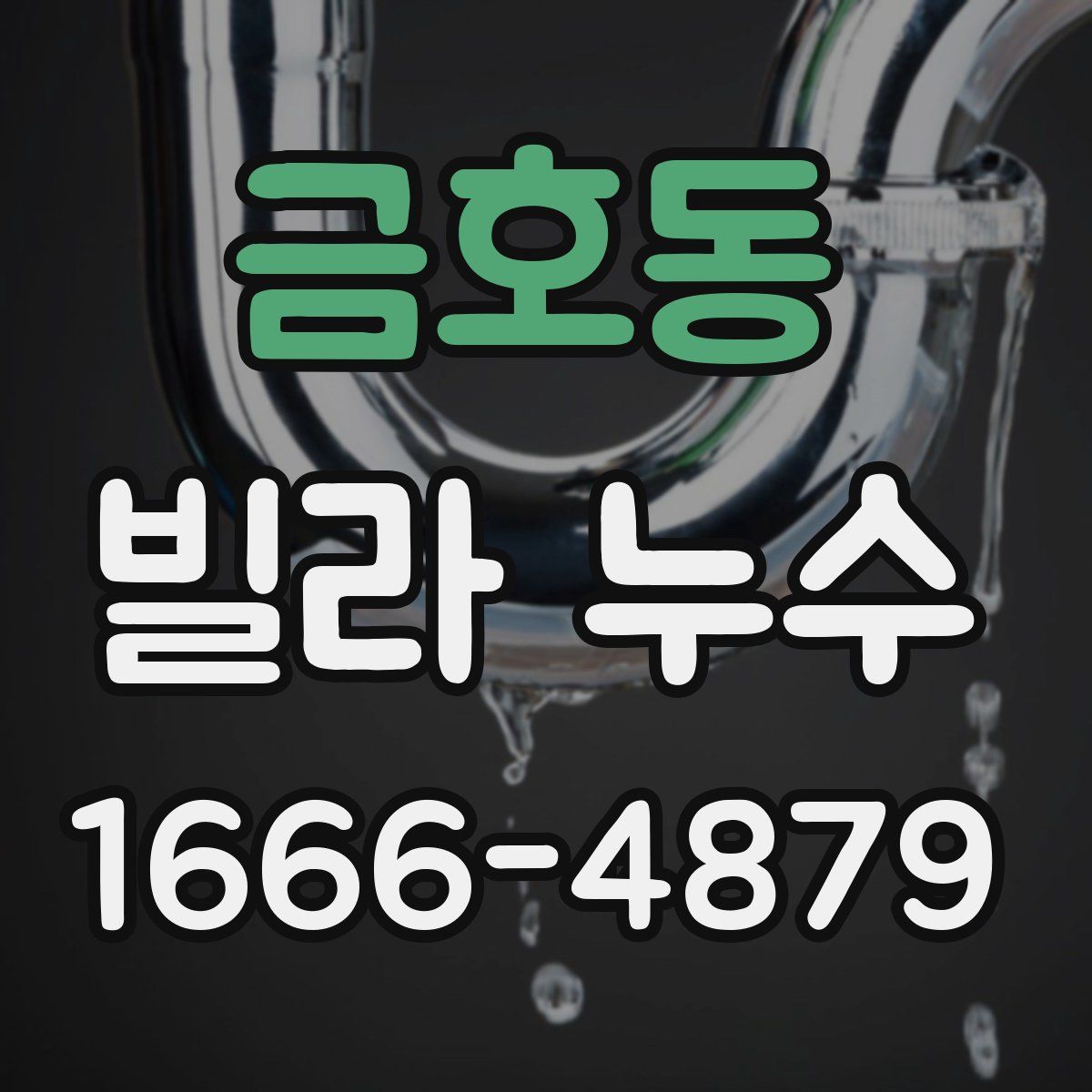금호동 빌라 누수