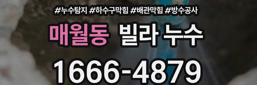 매월동 빌라 누수