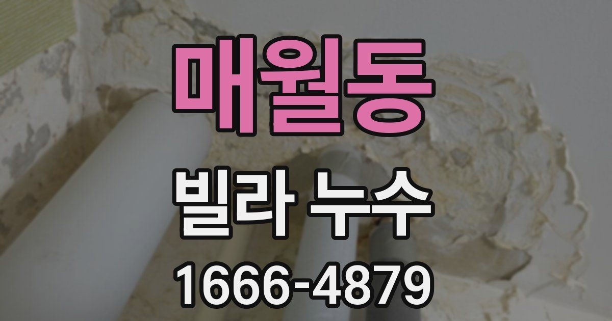 매월동 빌라 누수