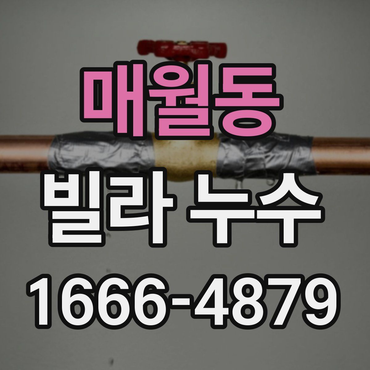 매월동 빌라 누수