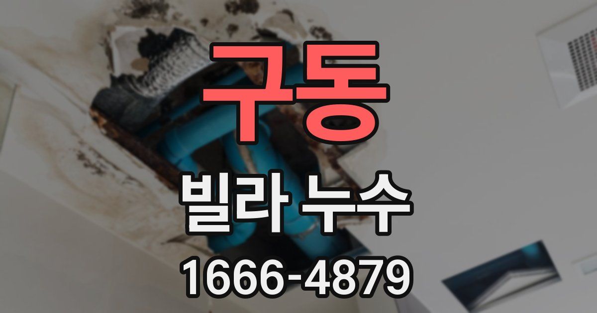 구동 빌라 누수