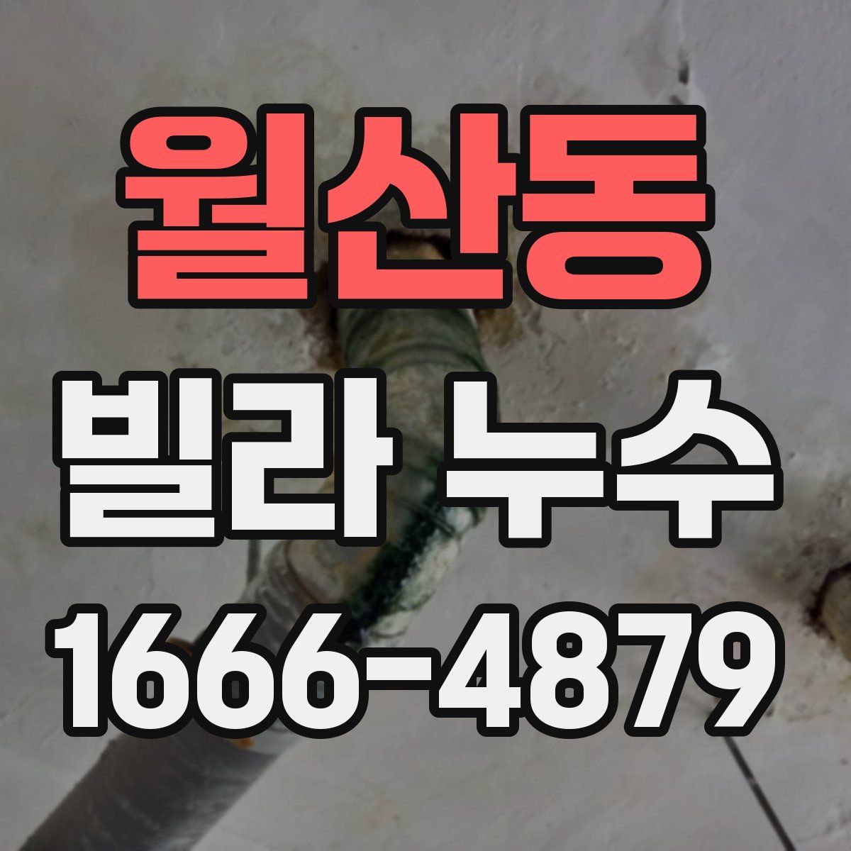 월산동 빌라 누수
