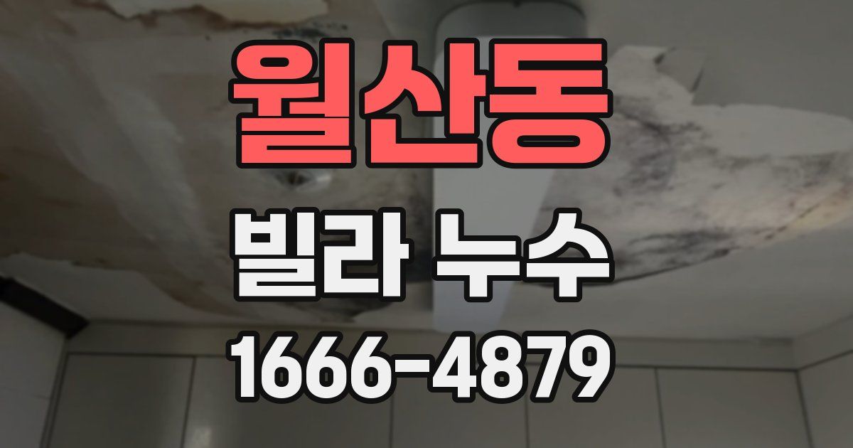월산동 빌라 누수