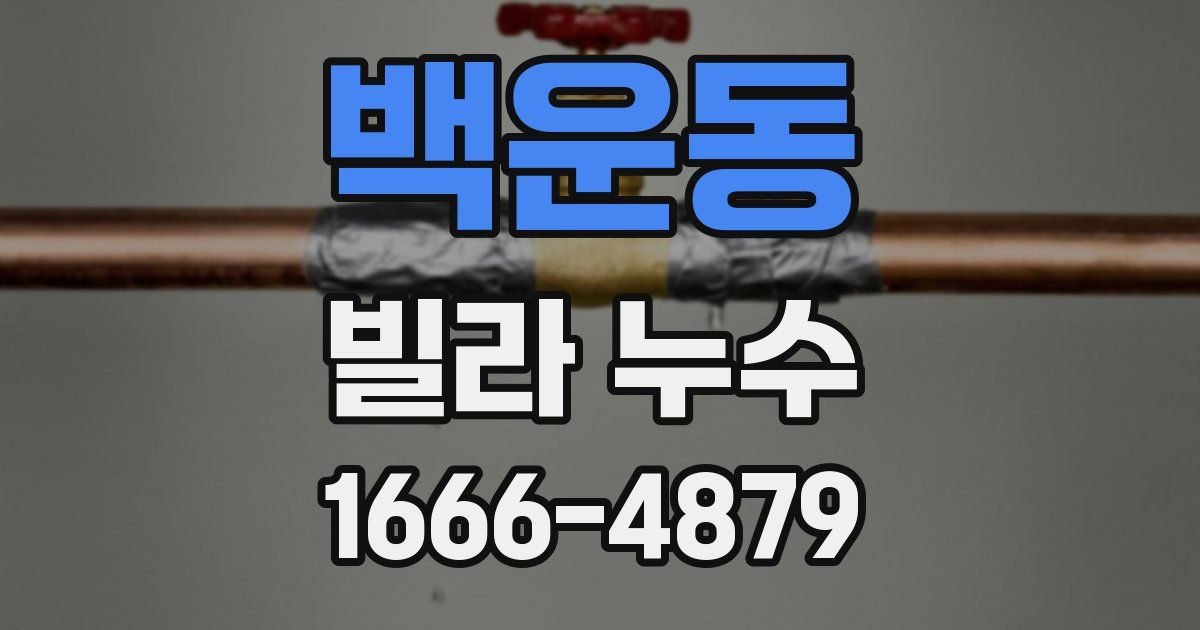 백운동 빌라 누수