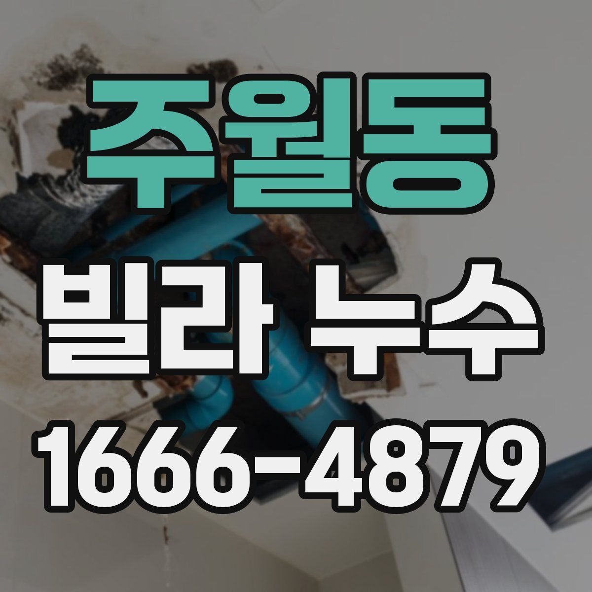 주월동 빌라 누수