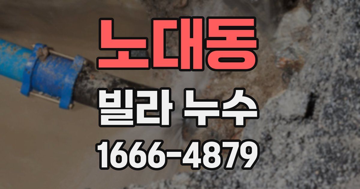 노대동 빌라 누수