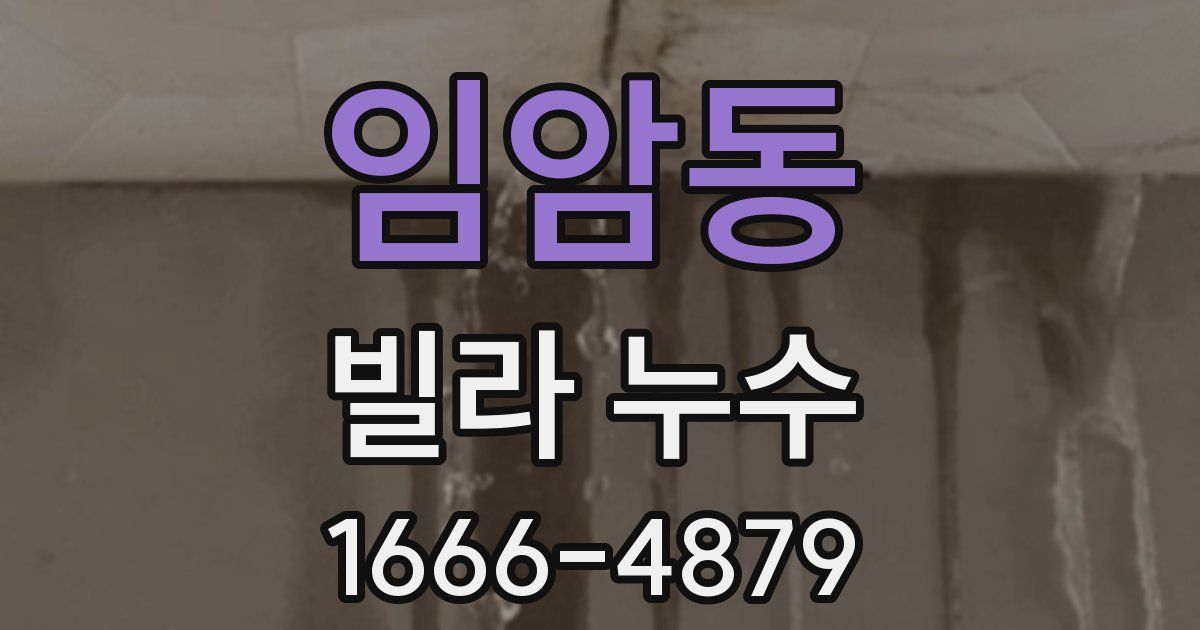 임암동 빌라 누수