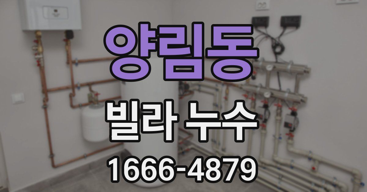 양림동 빌라 누수
