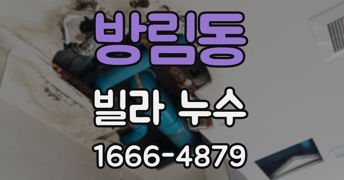 방림동 빌라 누수