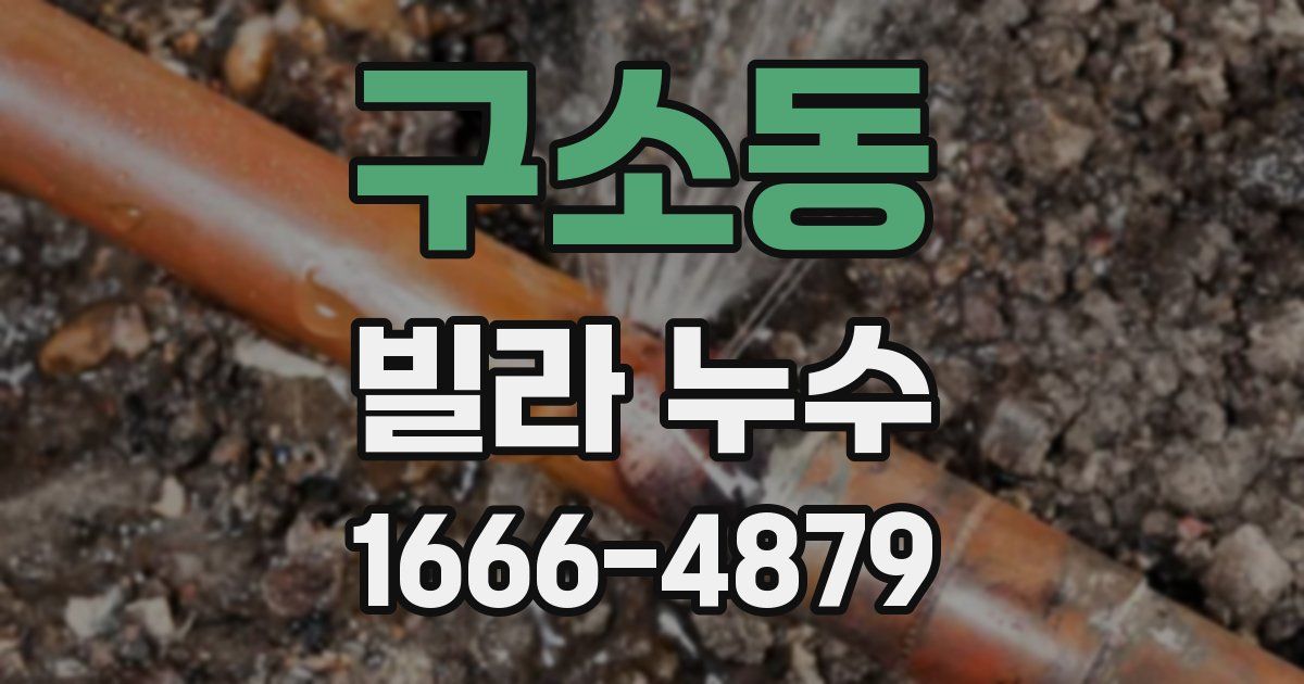 구소동 빌라 누수