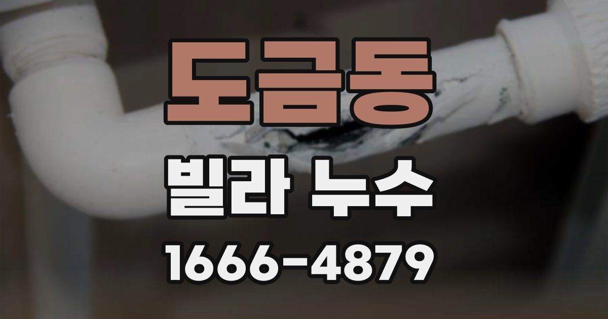 도금동 빌라 누수