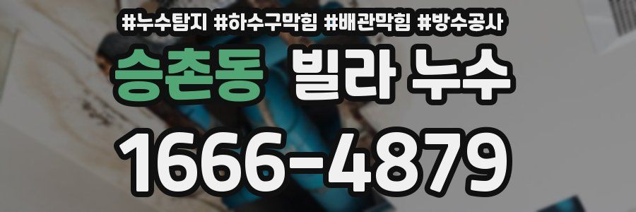 승촌동 빌라 누수