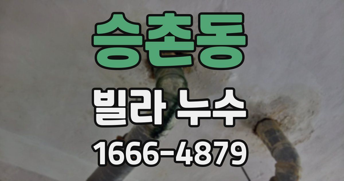 승촌동 빌라 누수
