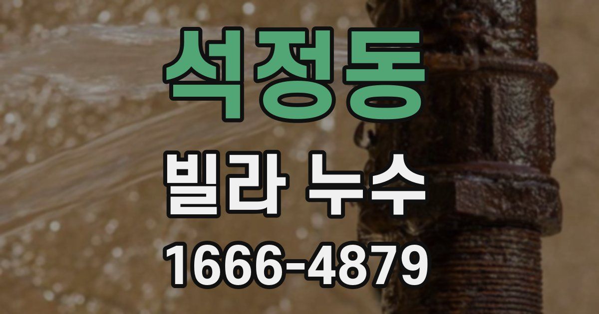 석정동 빌라 누수