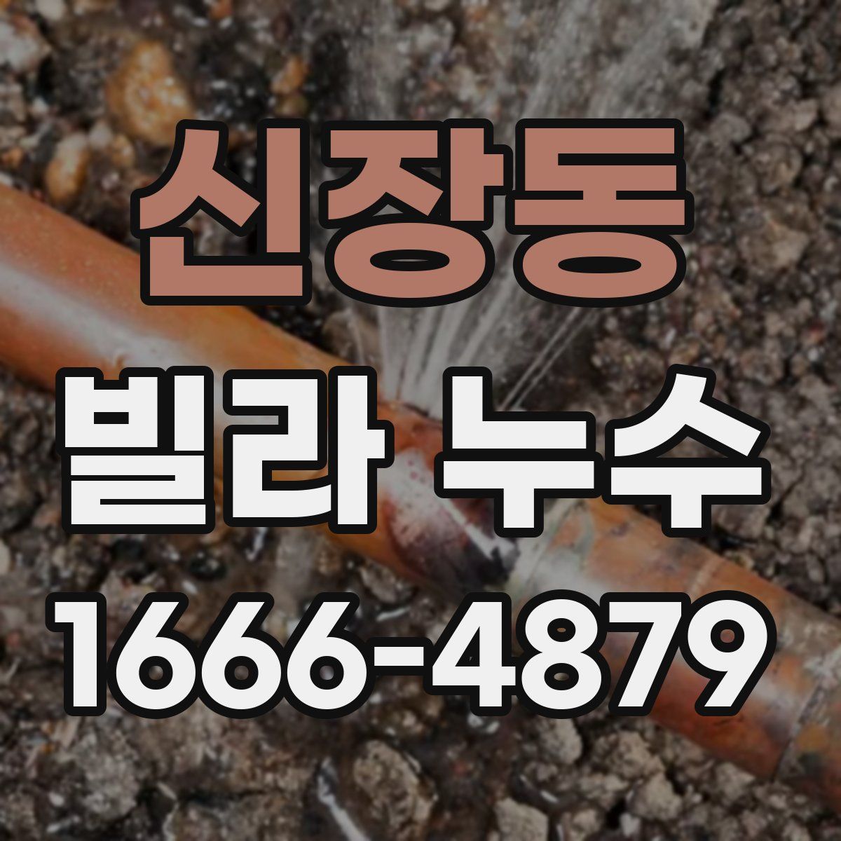 신장동 빌라 누수