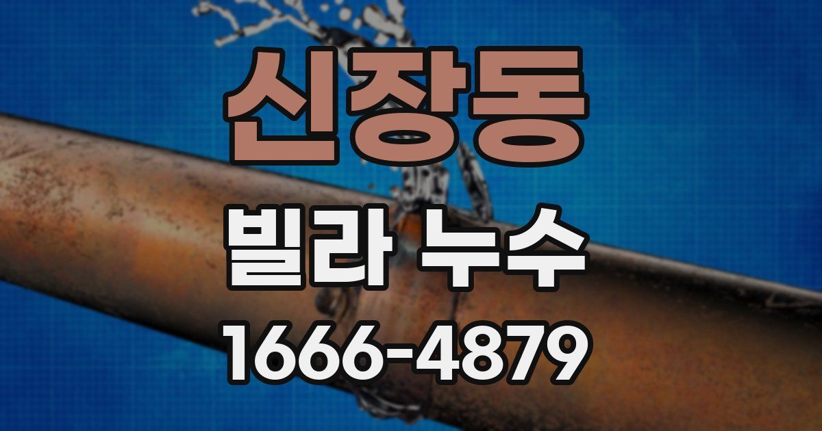 신장동 빌라 누수