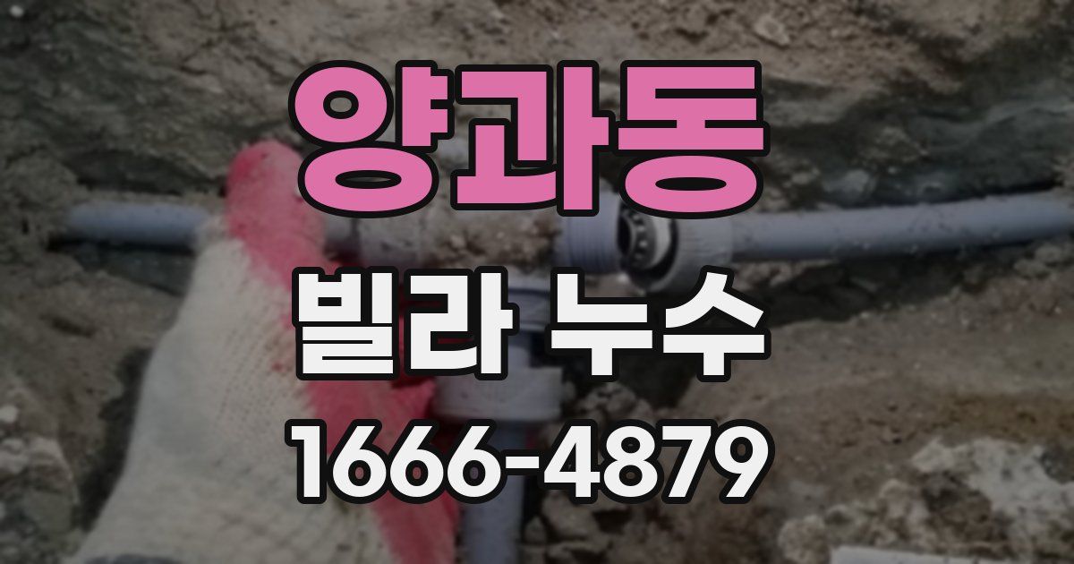 양과동 빌라 누수