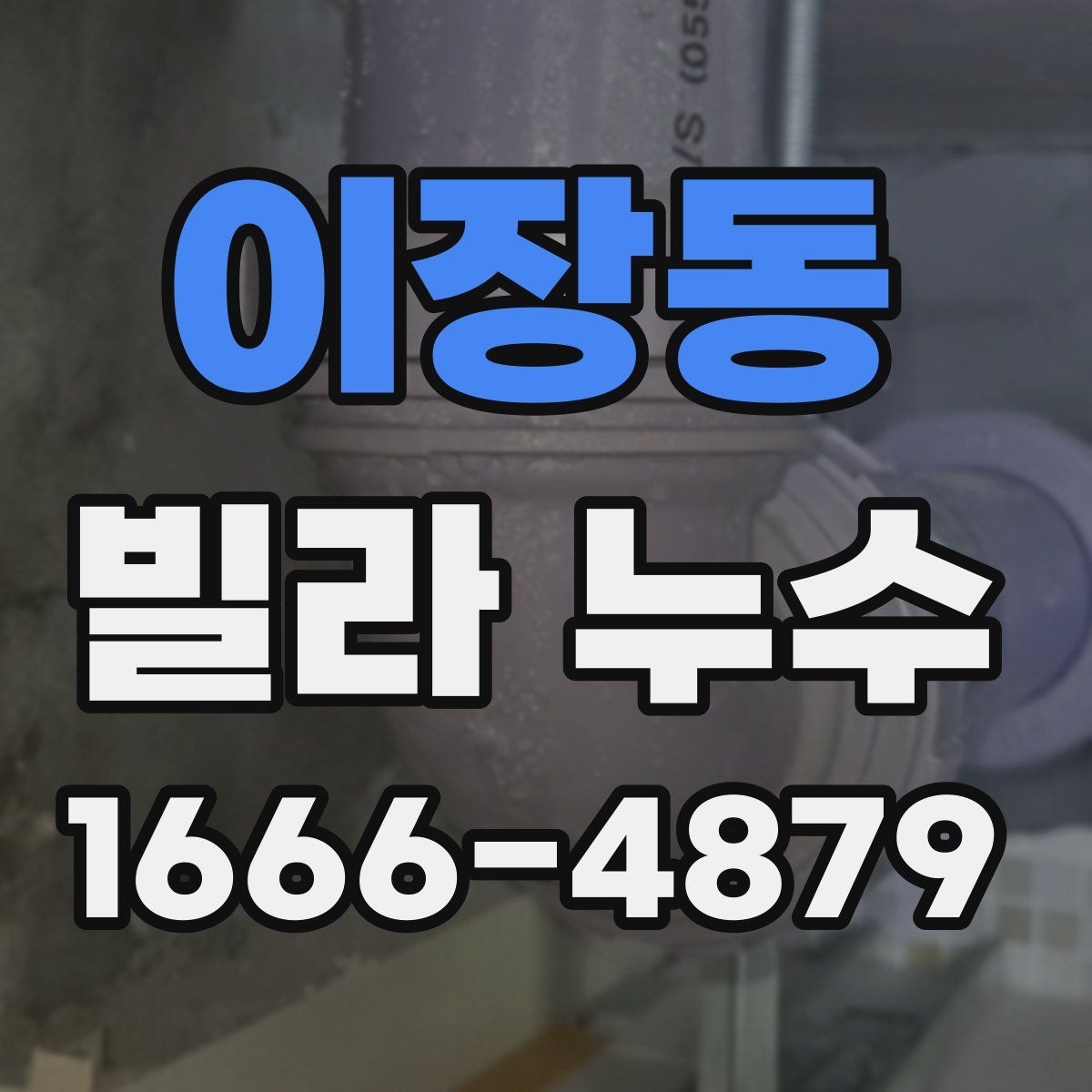이장동 빌라 누수