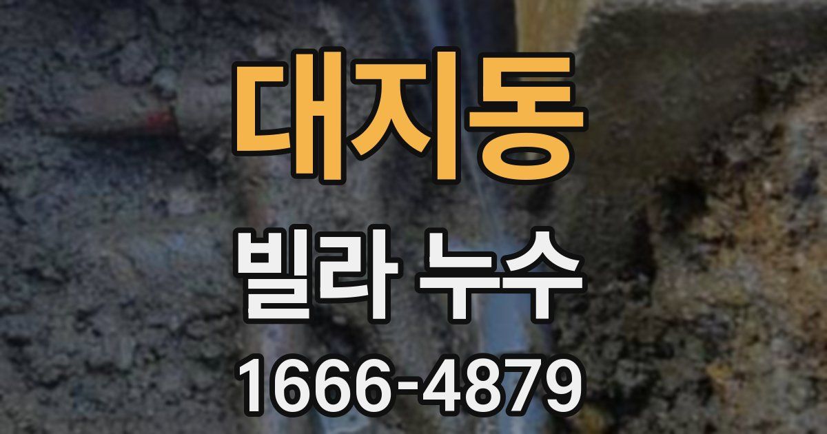 대지동 빌라 누수