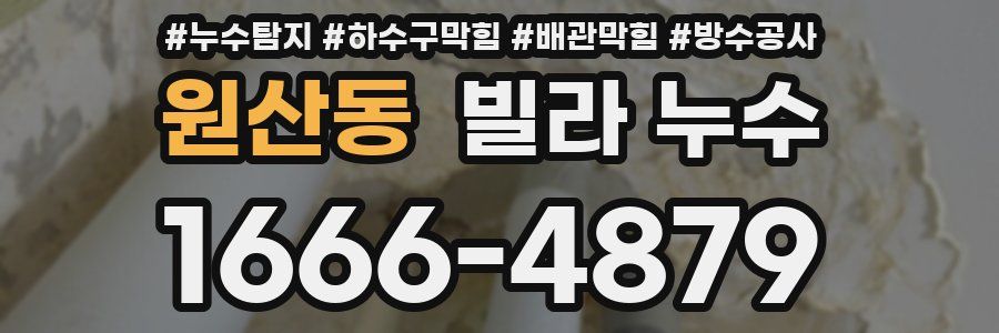 원산동 빌라 누수